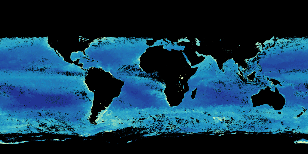 Animated map showing chlorophyll levels in the world's oceans.