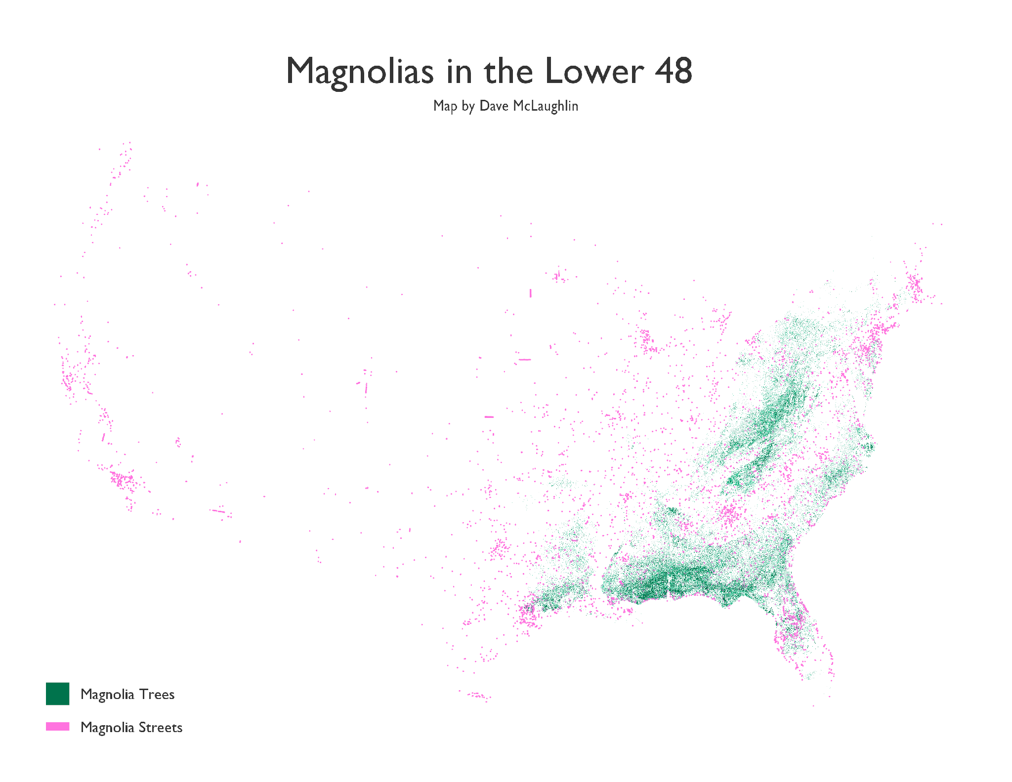 Magnolias, First Draft
