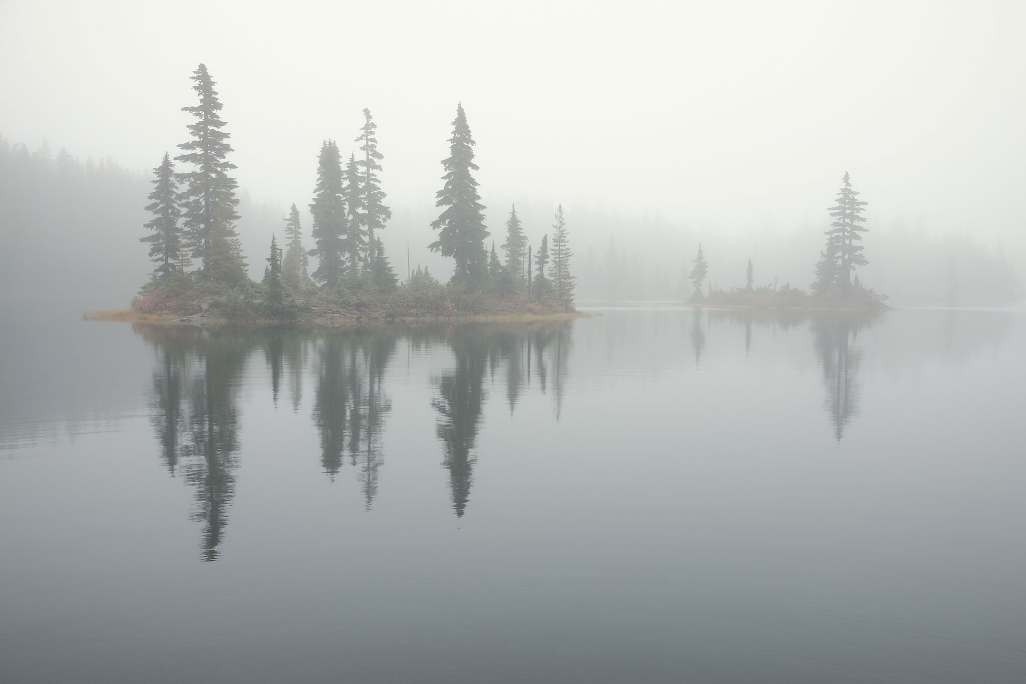 Photo of a foggy lake with an island covered in evergreen trees.